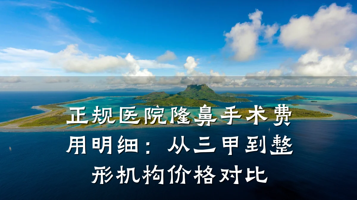 正规医院隆鼻手术费用明细:从三甲到整形机构价格对比