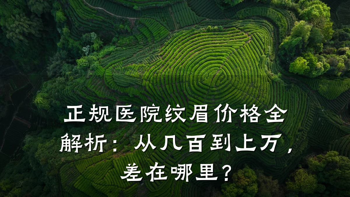 正规医院纹眉价格全解析:从几百到上万,差在哪里?