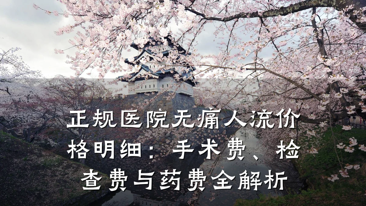 正规医院无痛人流价格明细:手术费、检查费与药费全解析