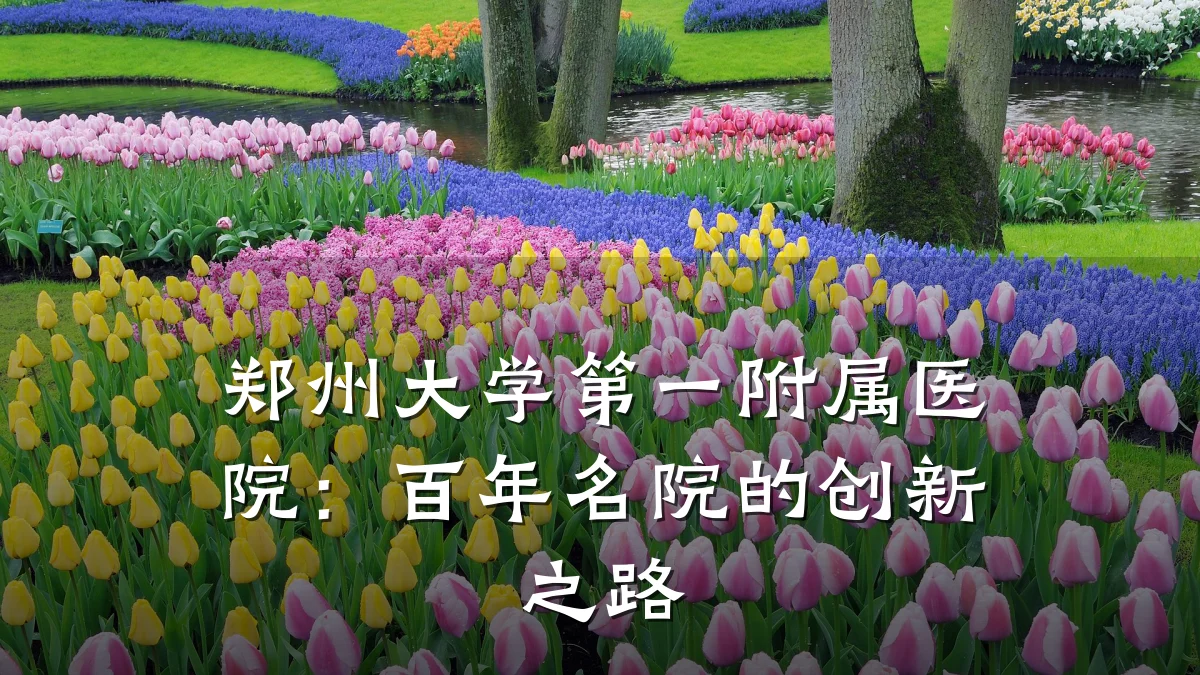 郑州大学第一附属医院：百年名院的创新之路