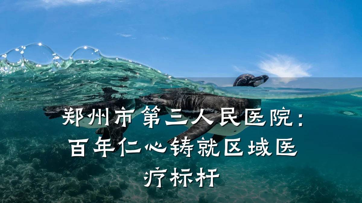 郑州市第三人民医院:百年仁心铸就区域医疗标杆