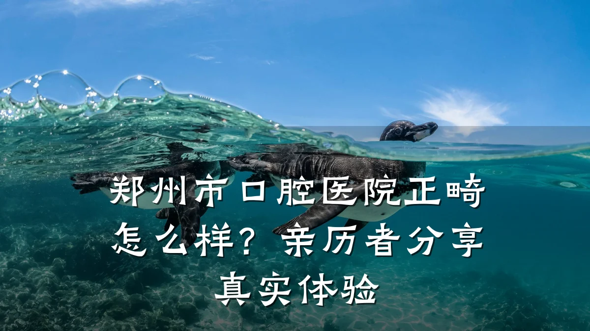 郑州市口腔医院正畸怎么样?亲历者分享真实体验