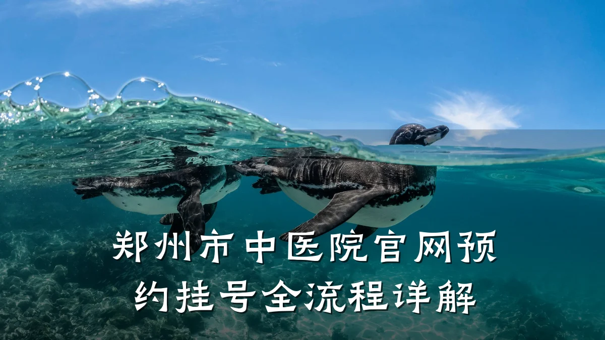 郑州市中医院官网预约挂号全流程详解