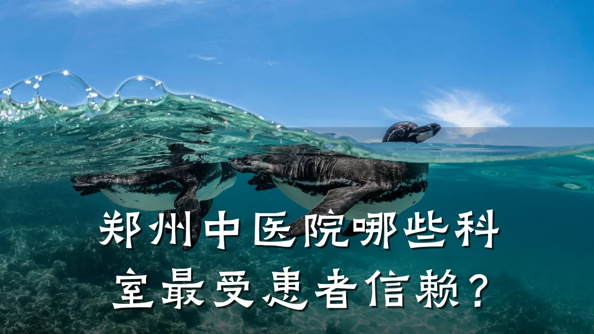 郑州中医院哪些科室最受患者信赖?