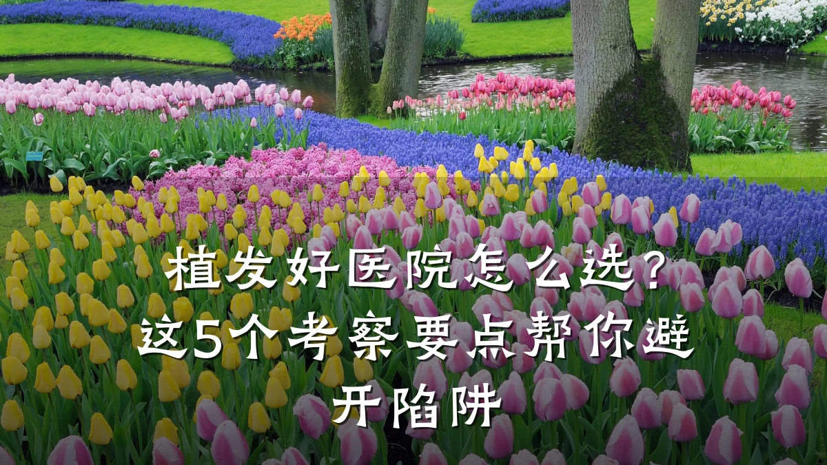 植发好医院怎么选?这5个考察要点帮你避开陷阱