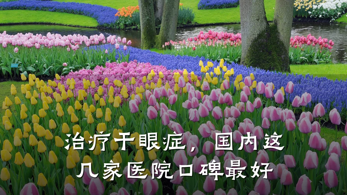 治疗干眼症,国内这几家医院口碑最好