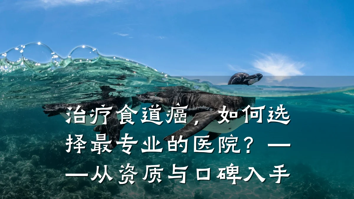 治疗食道癌,如何选择最专业的医院?——从资质与口碑入手