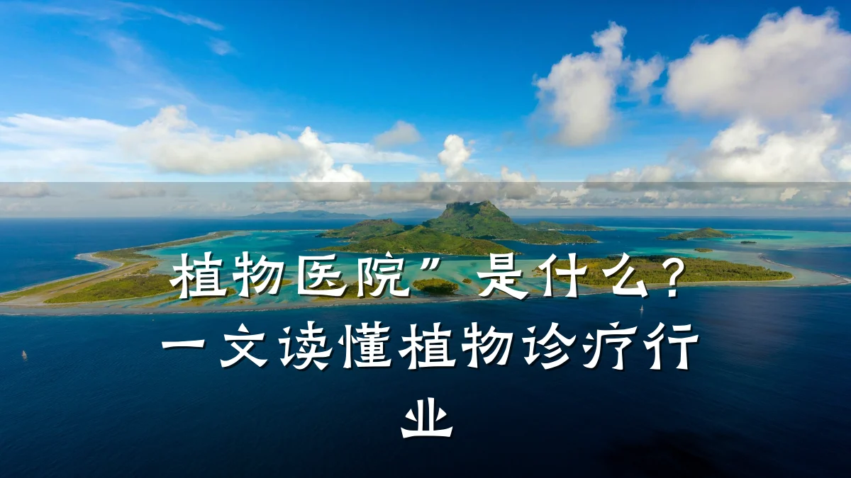 植物医院”是什么?一文读懂植物诊疗行业