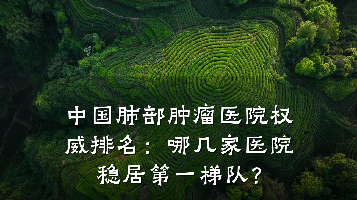 中国肺部肿瘤医院权威排名:哪几家医院稳居第一梯队?