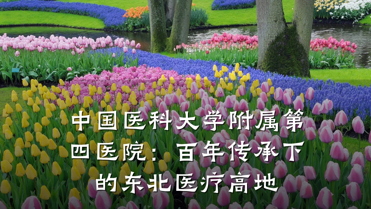 中国医科大学附属第四医院:百年传承下的东北医疗高地