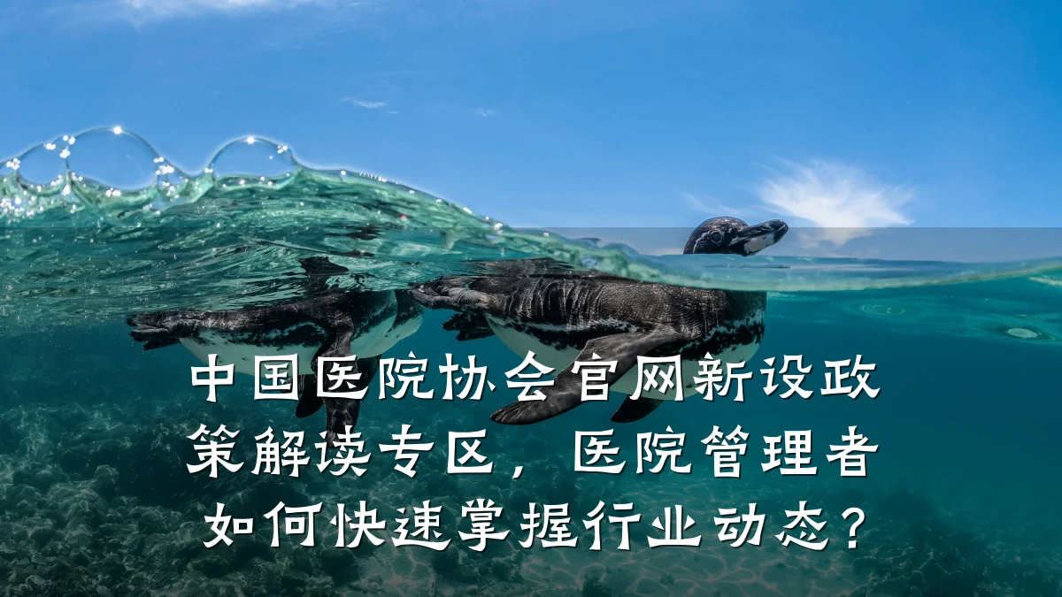 中国医院协会官网新设政策解读专区,医院管理者如何快速掌握行业动态?