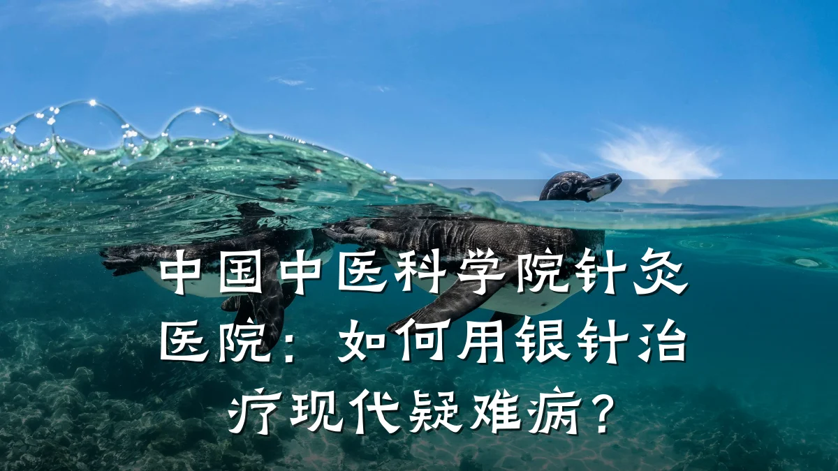中国中医科学院针灸医院:如何用银针治疗现代疑难病?