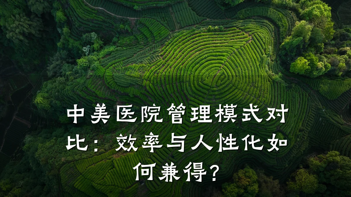 中美医院管理模式对比:效率与人性化如何兼得?