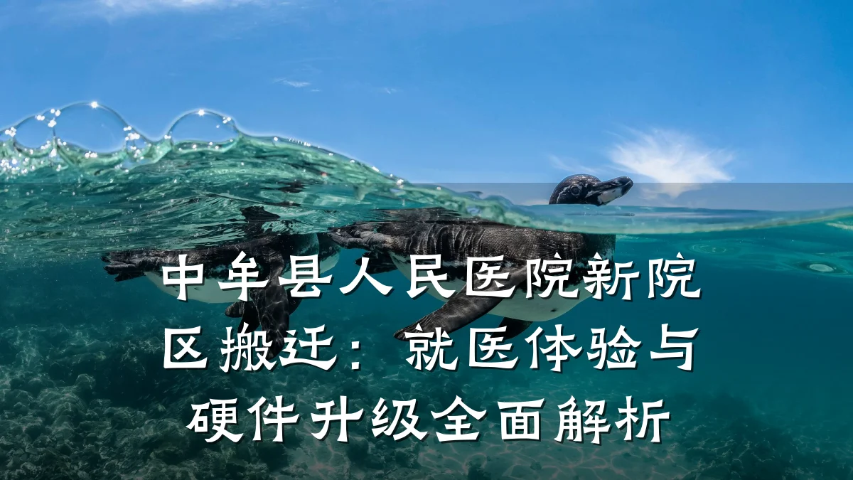 中牟县人民医院新院区搬迁：就医体验与硬件升级全面解析