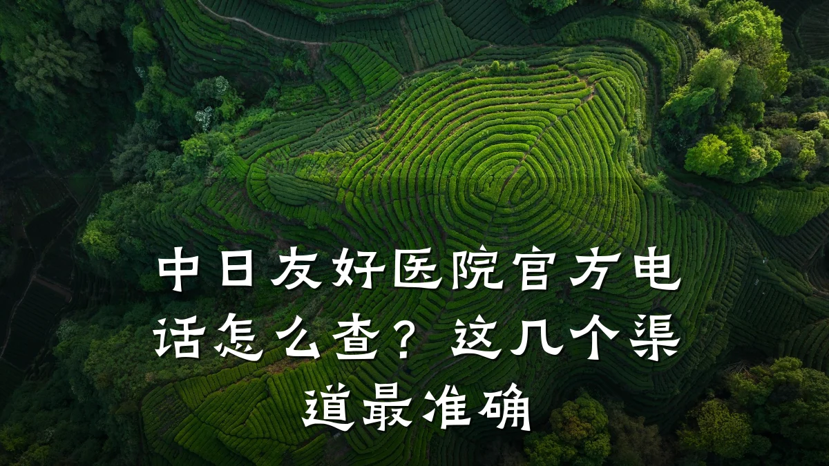 中日友好医院官方电话怎么查?这几个渠道最准确