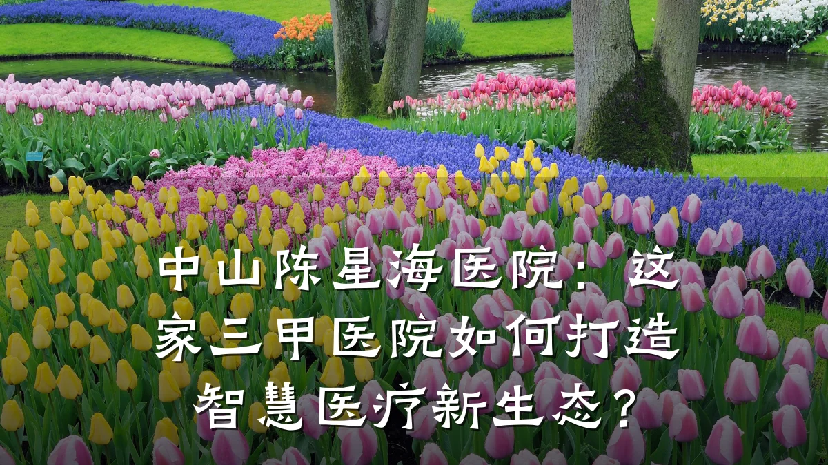 中山陈星海医院:这家三甲医院如何打造智慧医疗新生态?