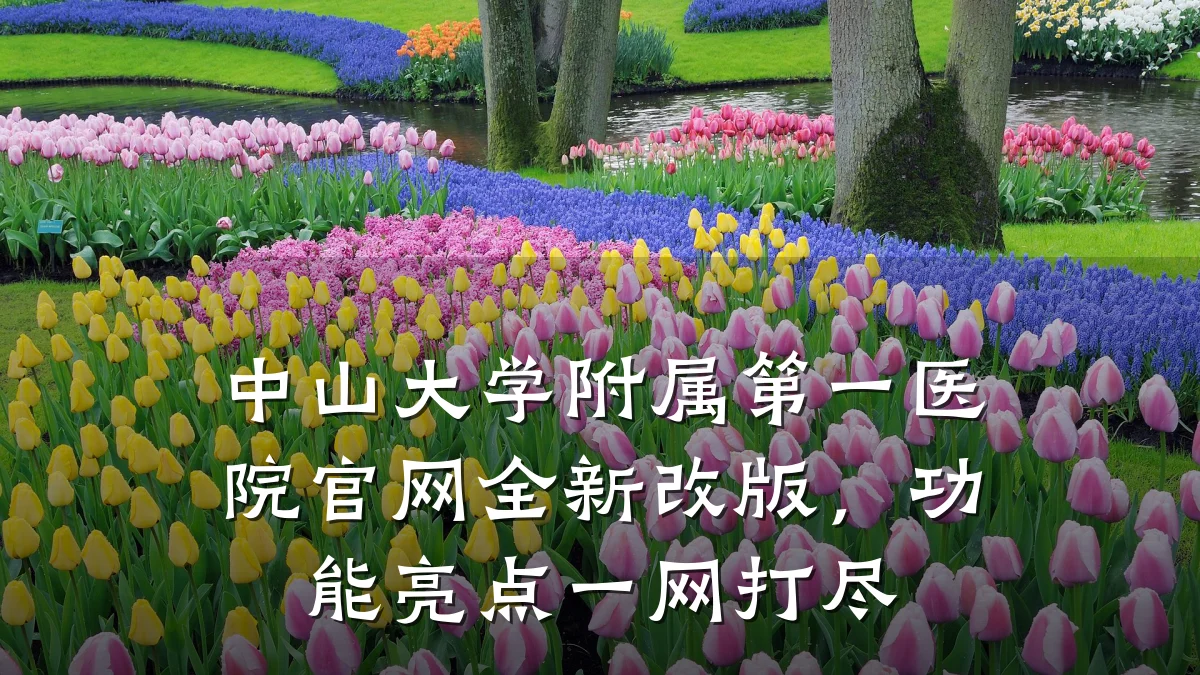 中山大学附属第一医院官网全新改版,功能亮点一网打尽