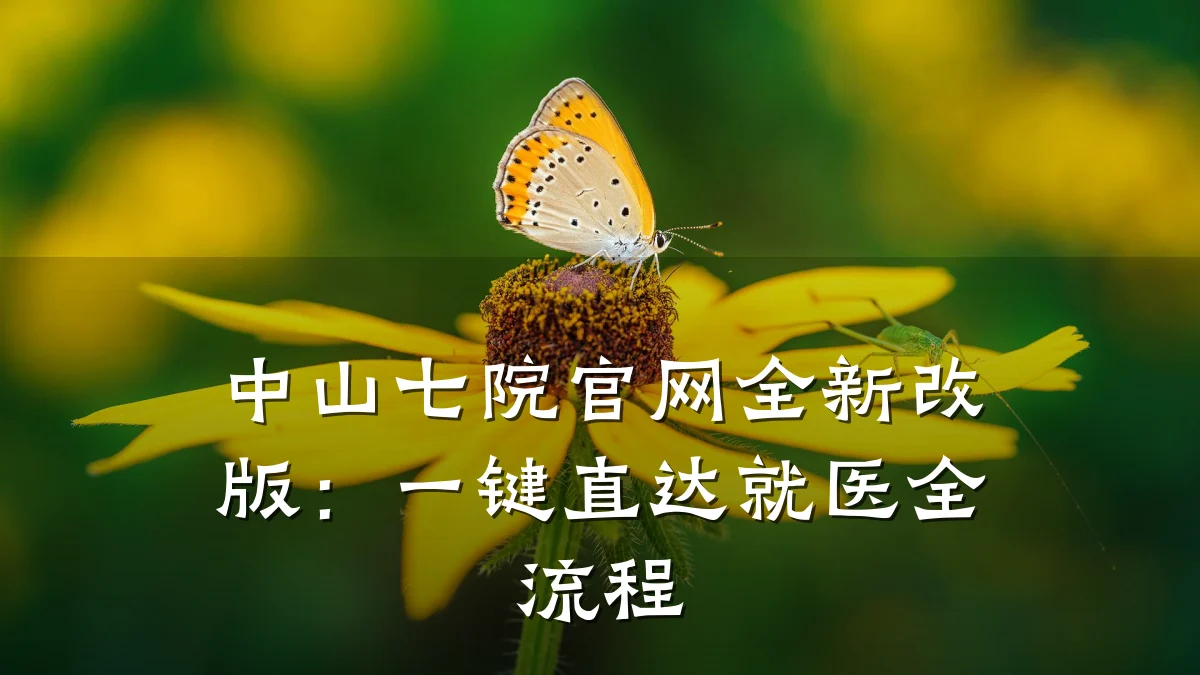 中山七院官网全新改版:一键直达就医全流程