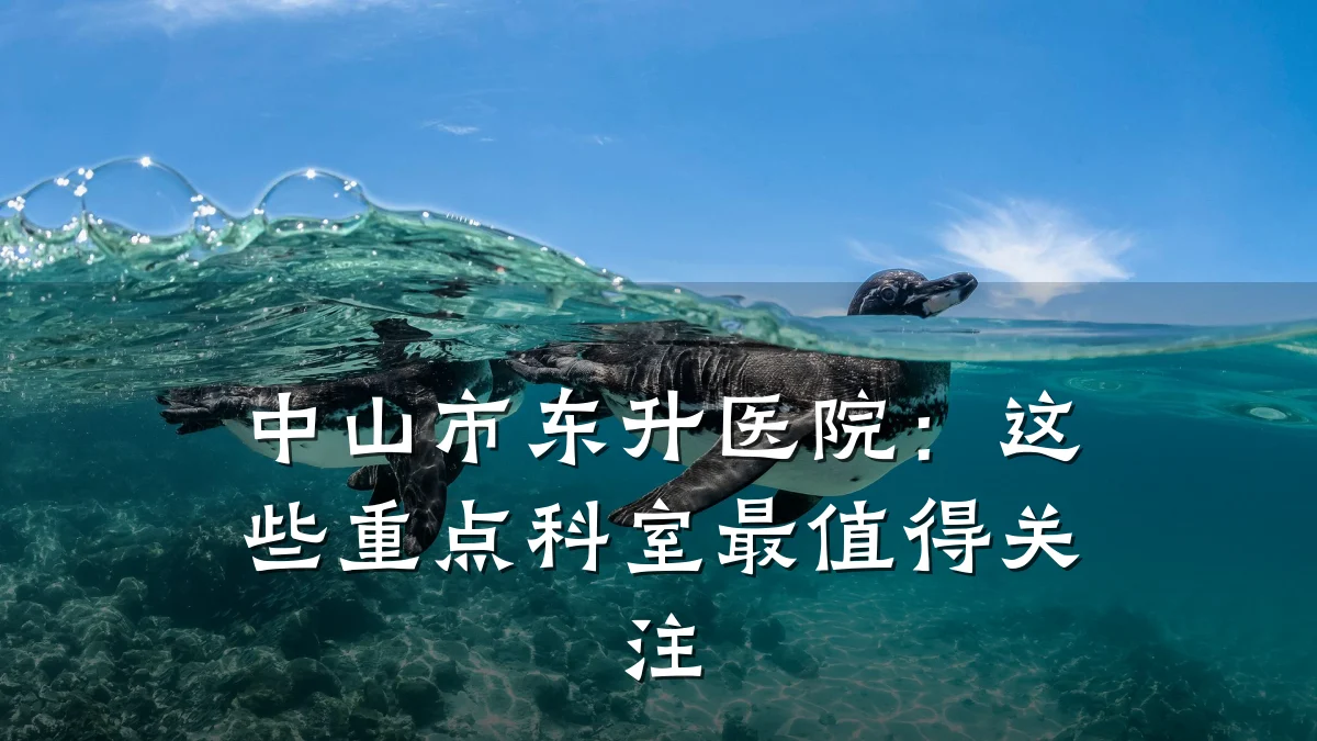 中山市东升医院：这些重点科室最值得关注