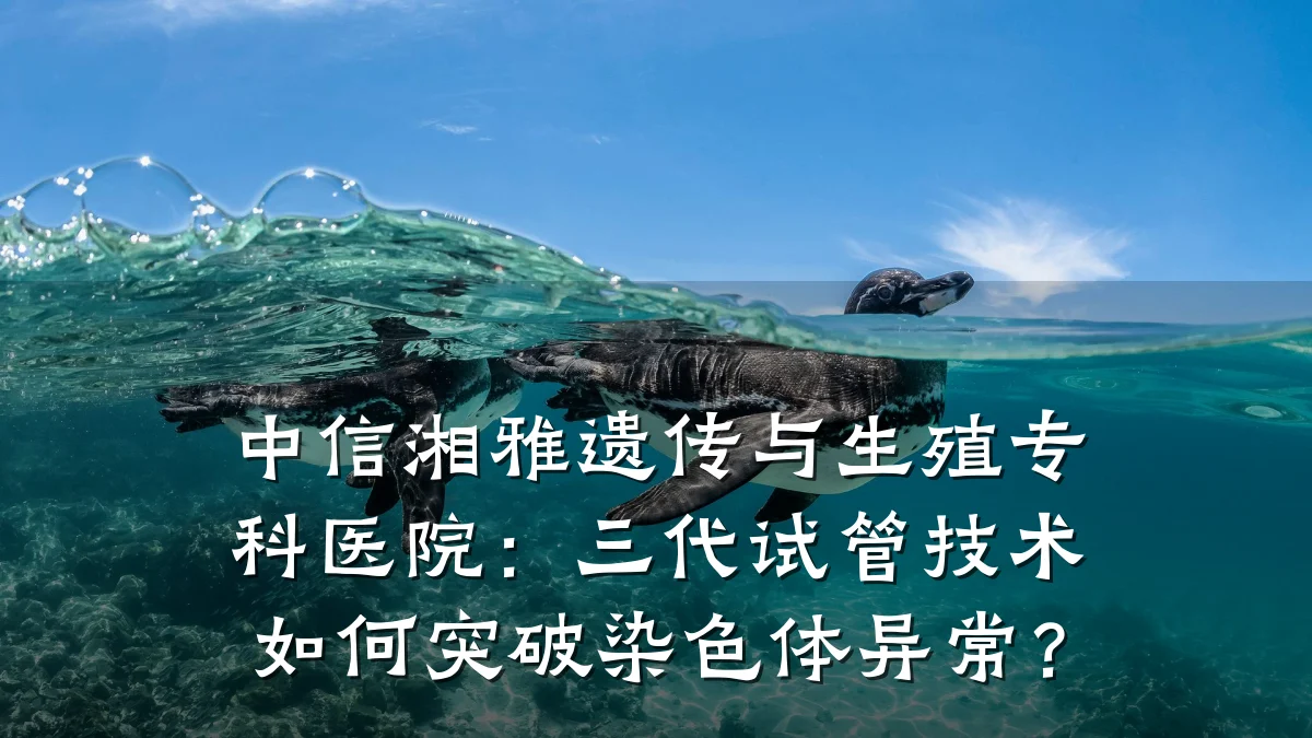 中信湘雅遗传与生殖专科医院:三代试管技术如何突破染色体异常?