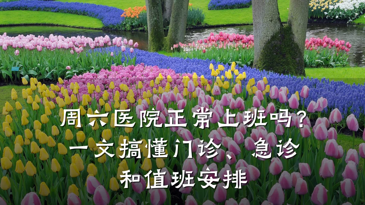 周六医院正常上班吗?一文搞懂门诊、急诊和值班安排