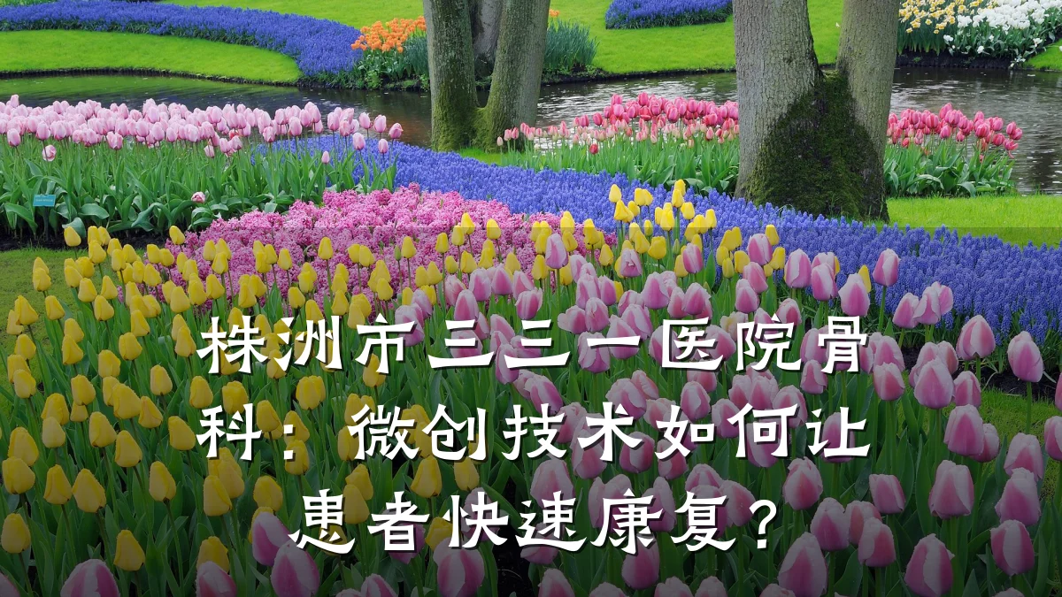 株洲市三三一医院骨科：微创技术如何让患者快速康复？