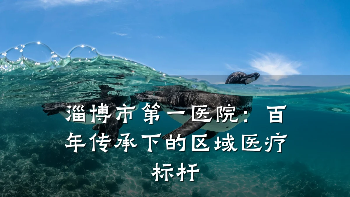 淄博市第一医院:百年传承下的区域医疗标杆