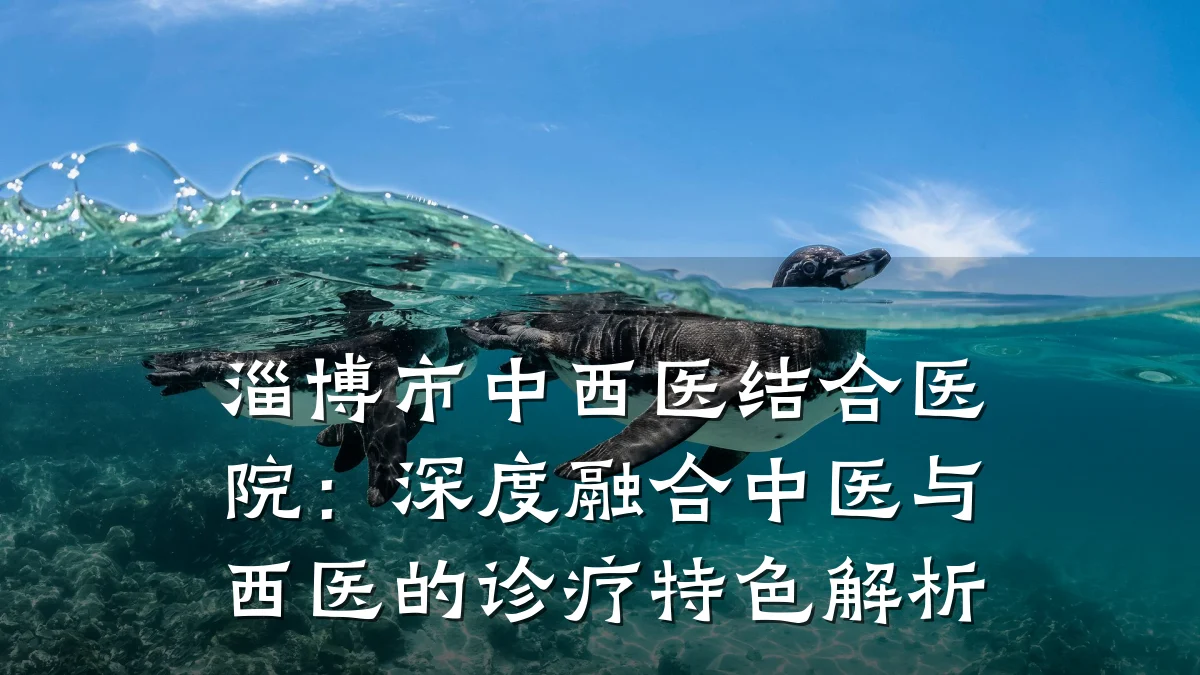 淄博市中西医结合医院:深度融合中医与西医的诊疗特色解析