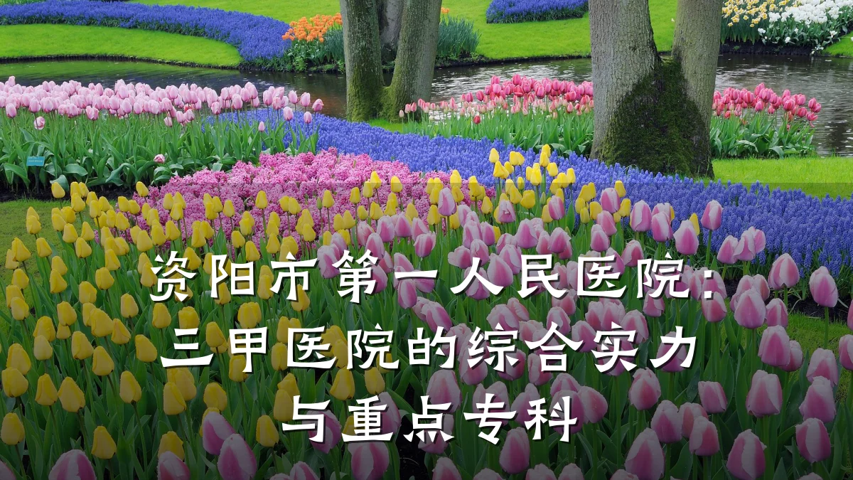 资阳市第一人民医院:三甲医院的综合实力与重点专科