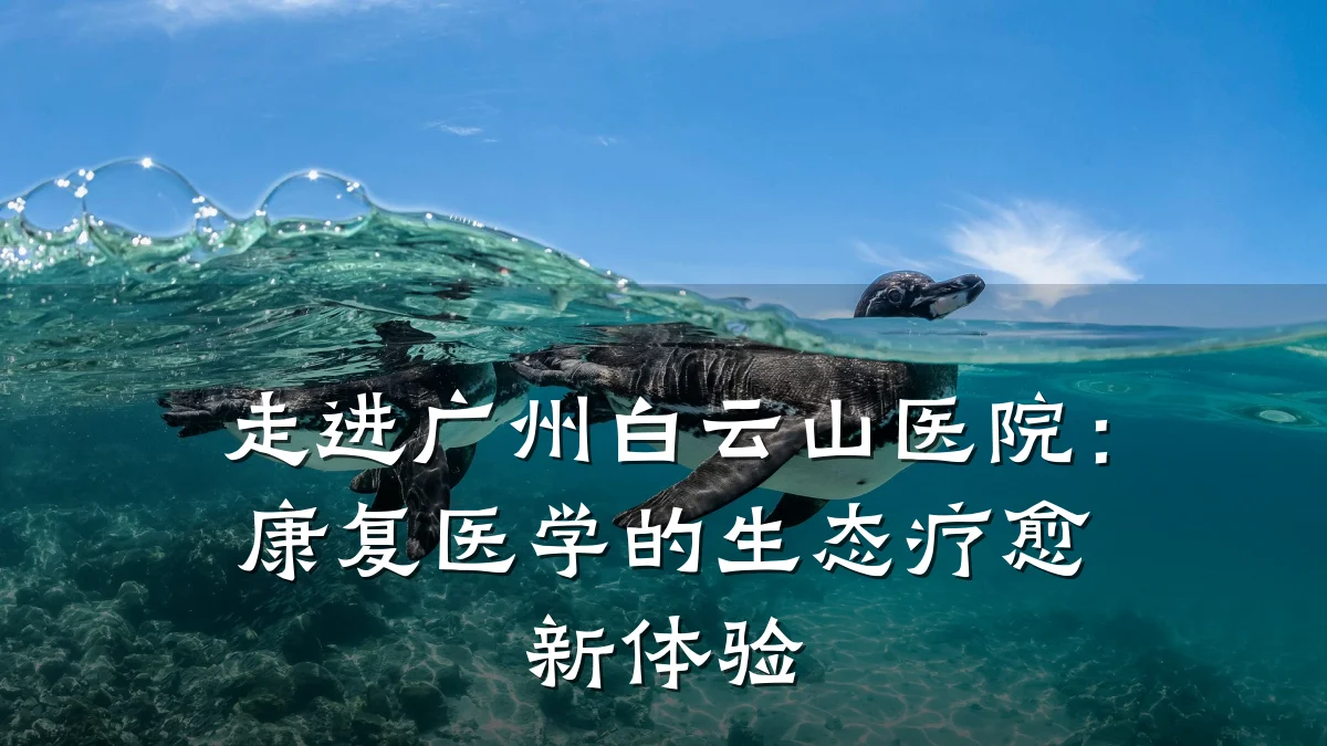 走进广州白云山医院:康复医学的生态疗愈新体验