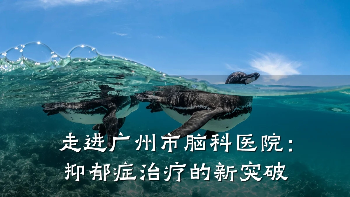 走进广州市脑科医院:抑郁症治疗的新突破