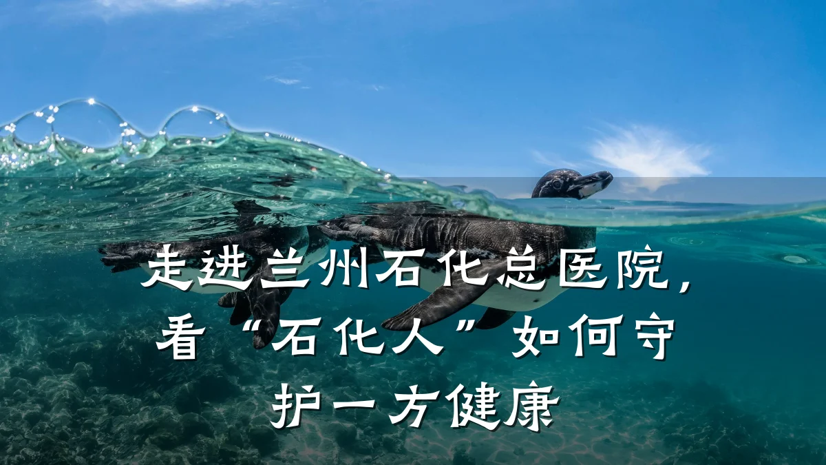 走进兰州石化总医院,看“石化人”如何守护一方健康