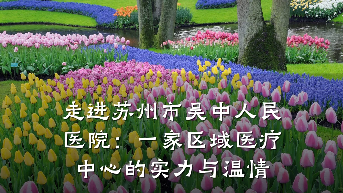 走进苏州市吴中人民医院:一家区域医疗中心的实力与温情