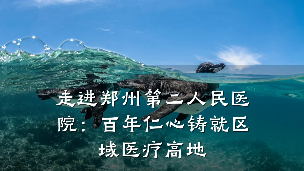 走进郑州第二人民医院：百年仁心铸就区域医疗高地