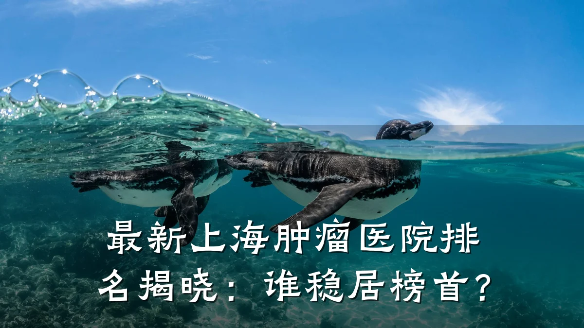 最新上海肿瘤医院排名揭晓:谁稳居榜首?