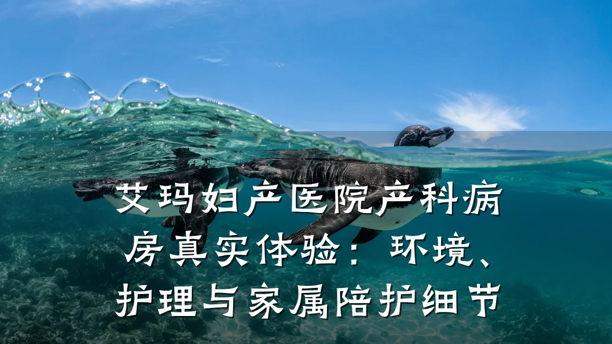 艾玛妇产医院产科病房真实体验:环境、护理与家属陪护细节