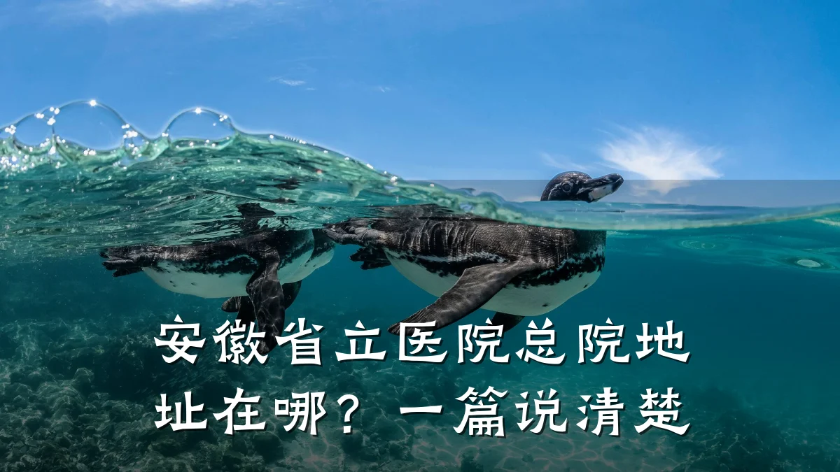安徽省立医院总院地址在哪?一篇说清楚