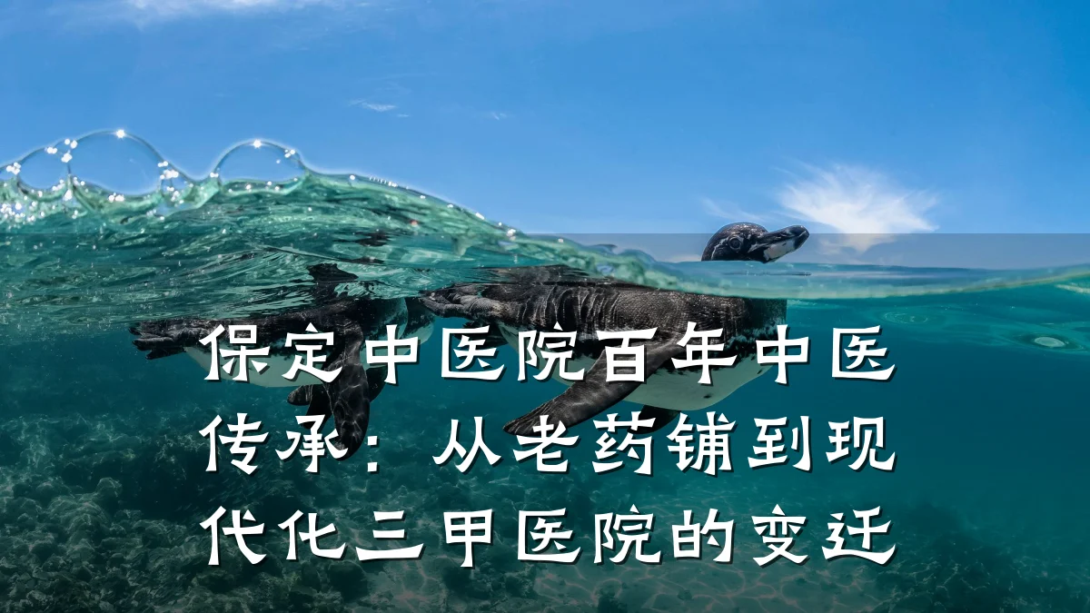 保定中医院百年中医传承:从老药铺到现代化三甲医院的变迁