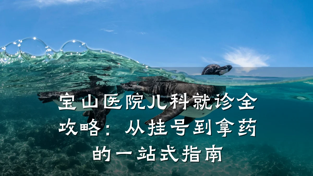 宝山医院儿科就诊全攻略:从挂号到拿药的一站式指南