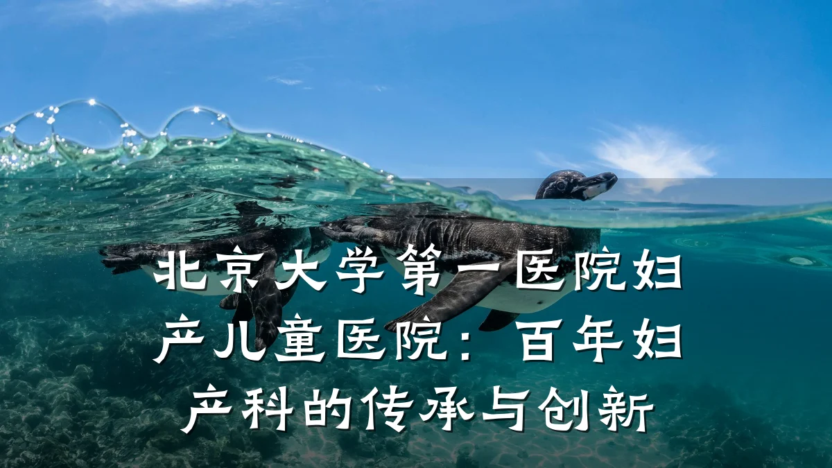 北京大学第一医院妇产儿童医院:百年妇产科的传承与创新