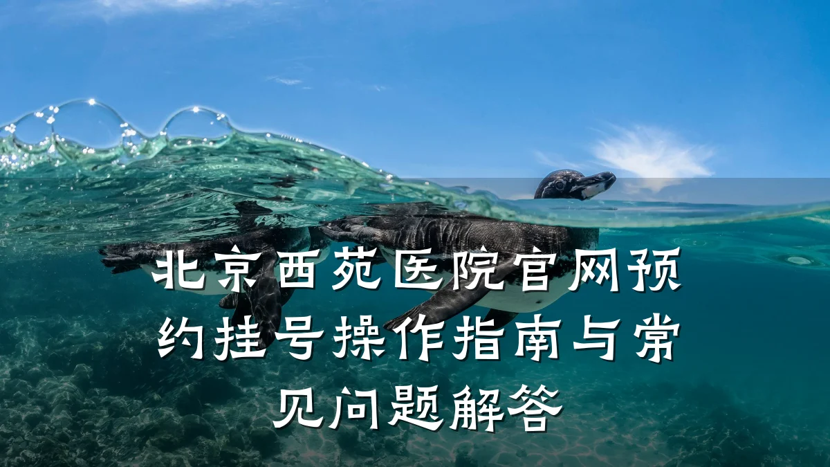 北京西苑医院官网预约挂号操作指南与常见问题解答