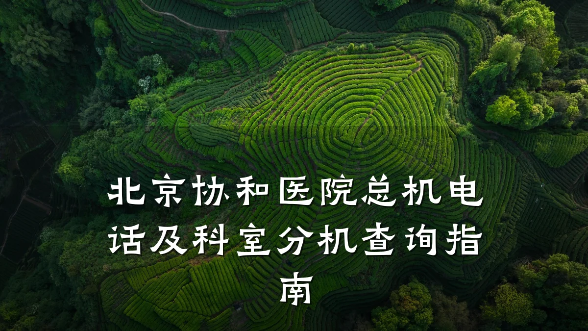 北京协和医院总机电话及科室分机查询指南