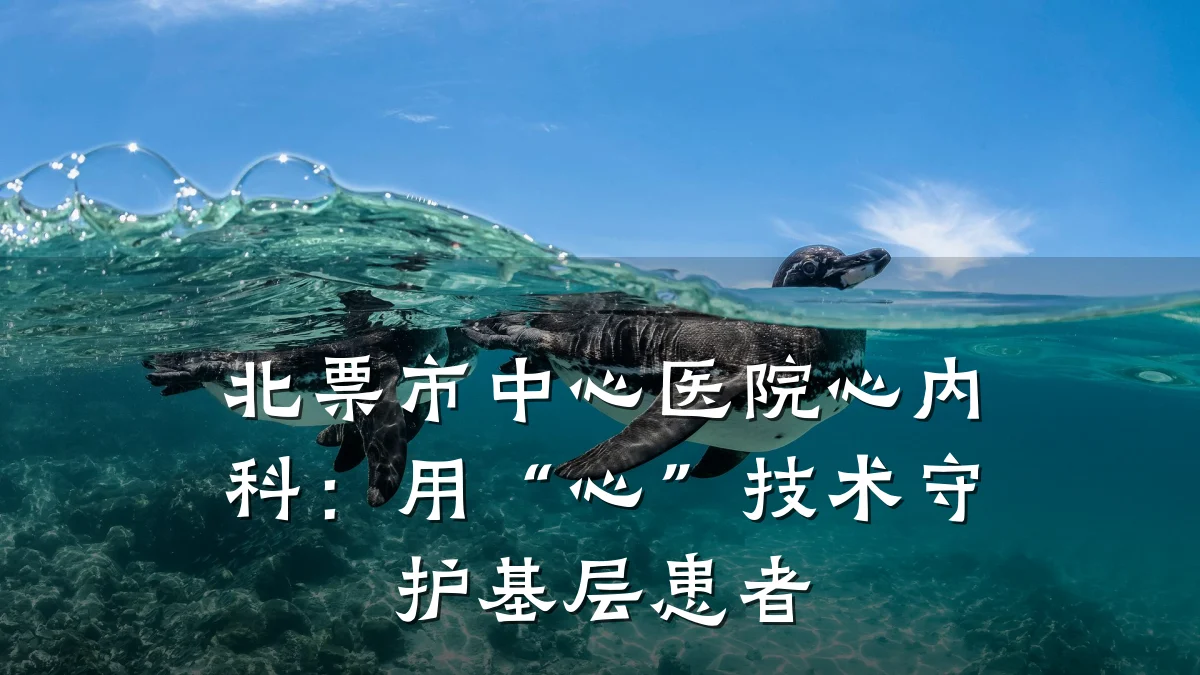 北票市中心医院心内科：用“心”技术守护基层患者