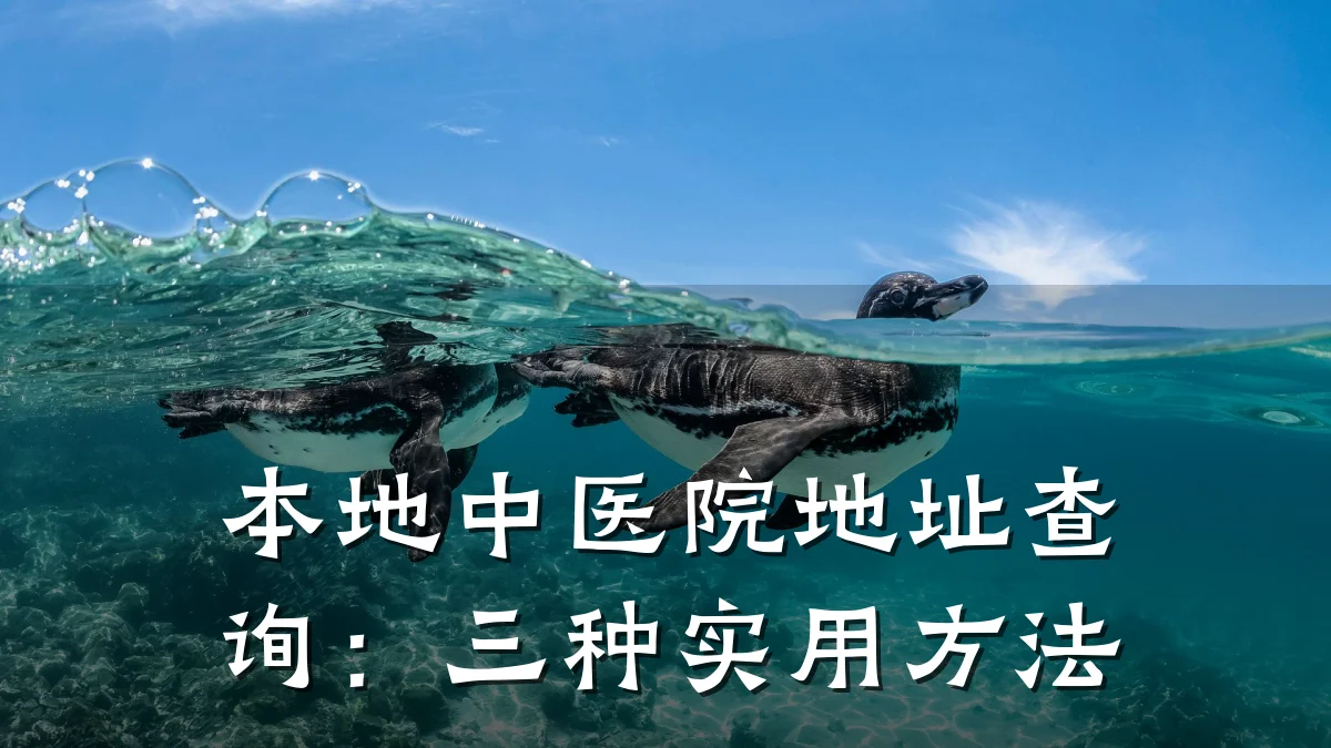 本地中医院地址查询:三种实用方法