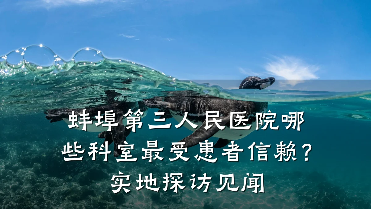 蚌埠第三人民医院哪些科室最受患者信赖?实地探访见闻