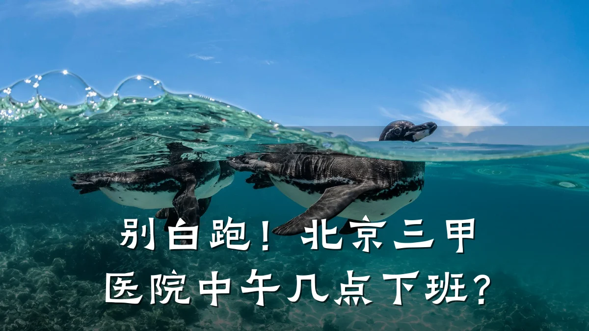 别白跑！北京三甲医院中午几点下班？