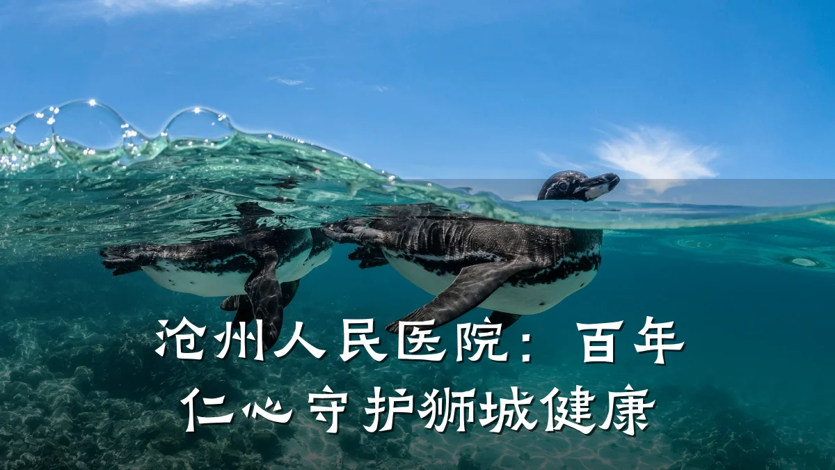 沧州人民医院:百年仁心守护狮城健康