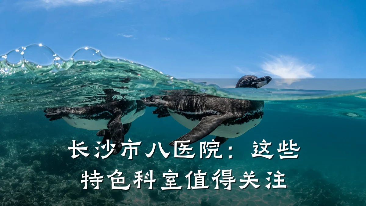 长沙市八医院：这些特色科室值得关注