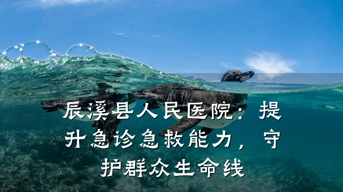 辰溪县人民医院:提升急诊急救能力,守护群众生命线
