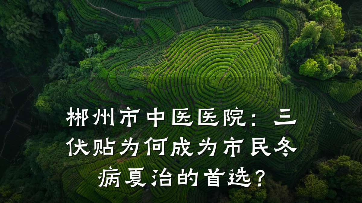 郴州市中医医院：三伏贴为何成为市民冬病夏治的首选？